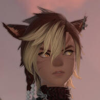 all aboard the DIPSHIT TRAIN!!!! CHOO CHOO